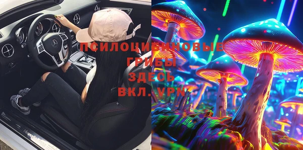 бошки Абаза