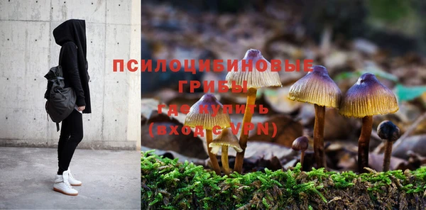 СК Абдулино