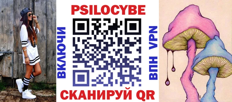 Галлюциногенные грибы Psilocybine cubensis  Владикавказ 